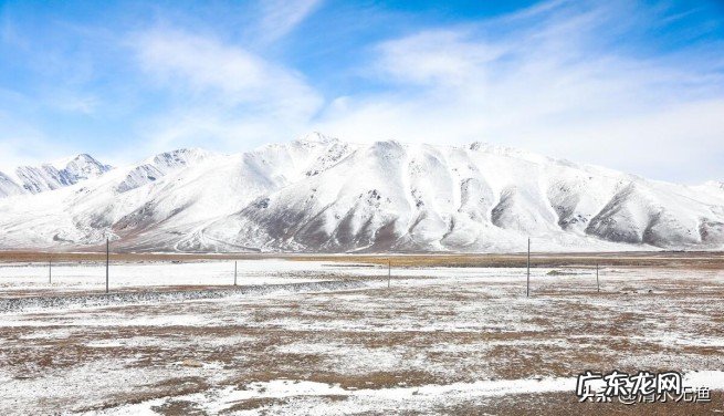 可可西里无人区很可怕吗？带你了解可可西里极端的自然环境