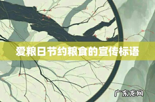 爱粮日节约粮食的宣传标语