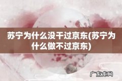 苏宁为什么做不过京东 苏宁为什么没干过京东