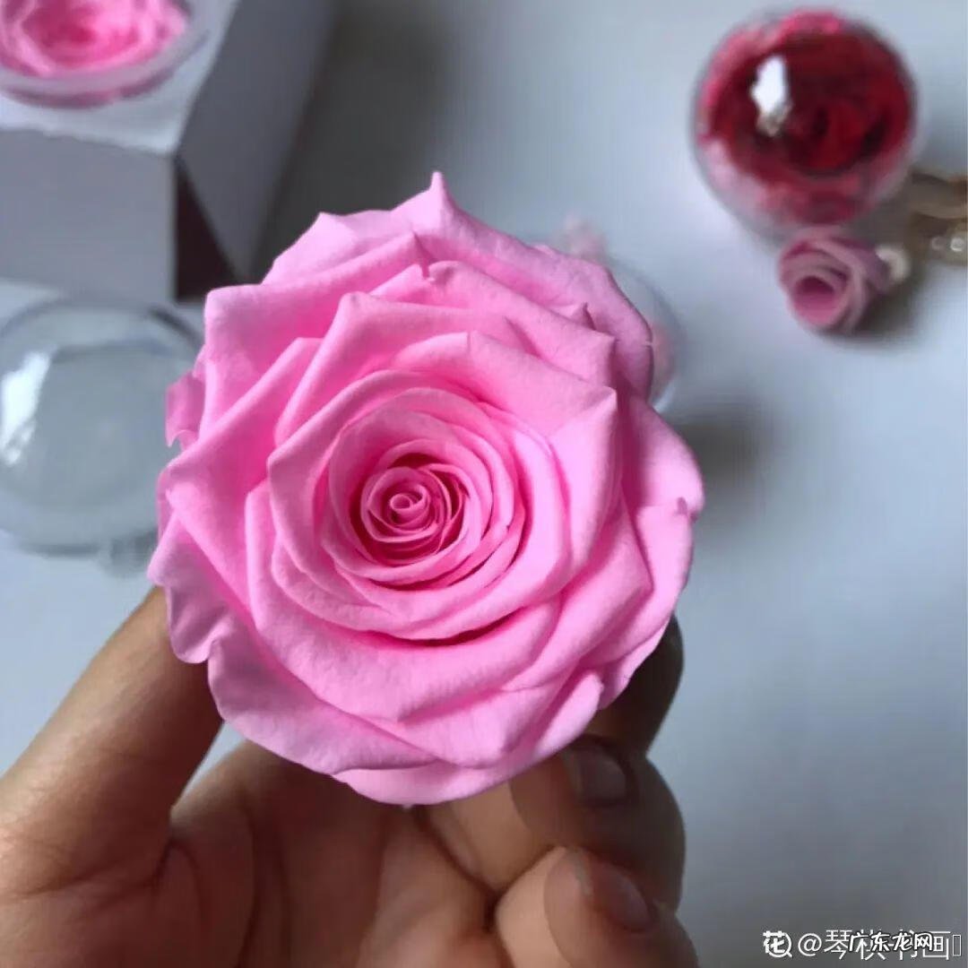 做干花的步骤与方法 新鲜的花怎么做干花