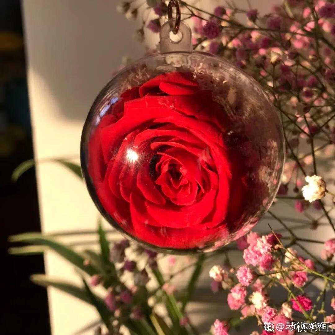 做干花的步骤与方法 新鲜的花怎么做干花