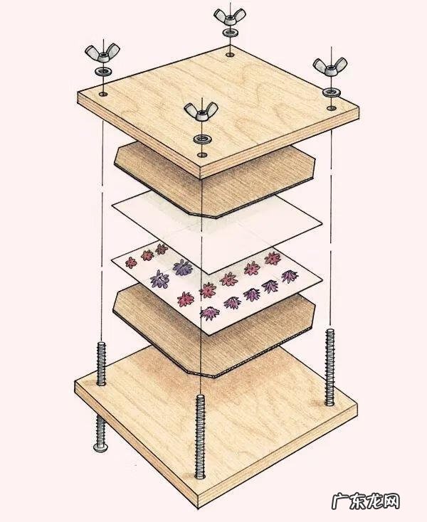 做干花的步骤与方法 新鲜的花怎么做干花