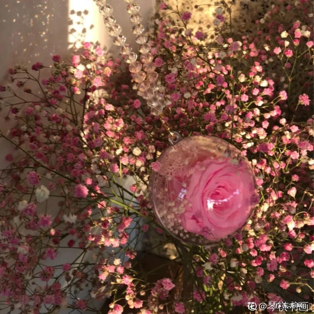 做干花的步骤与方法 新鲜的花怎么做干花