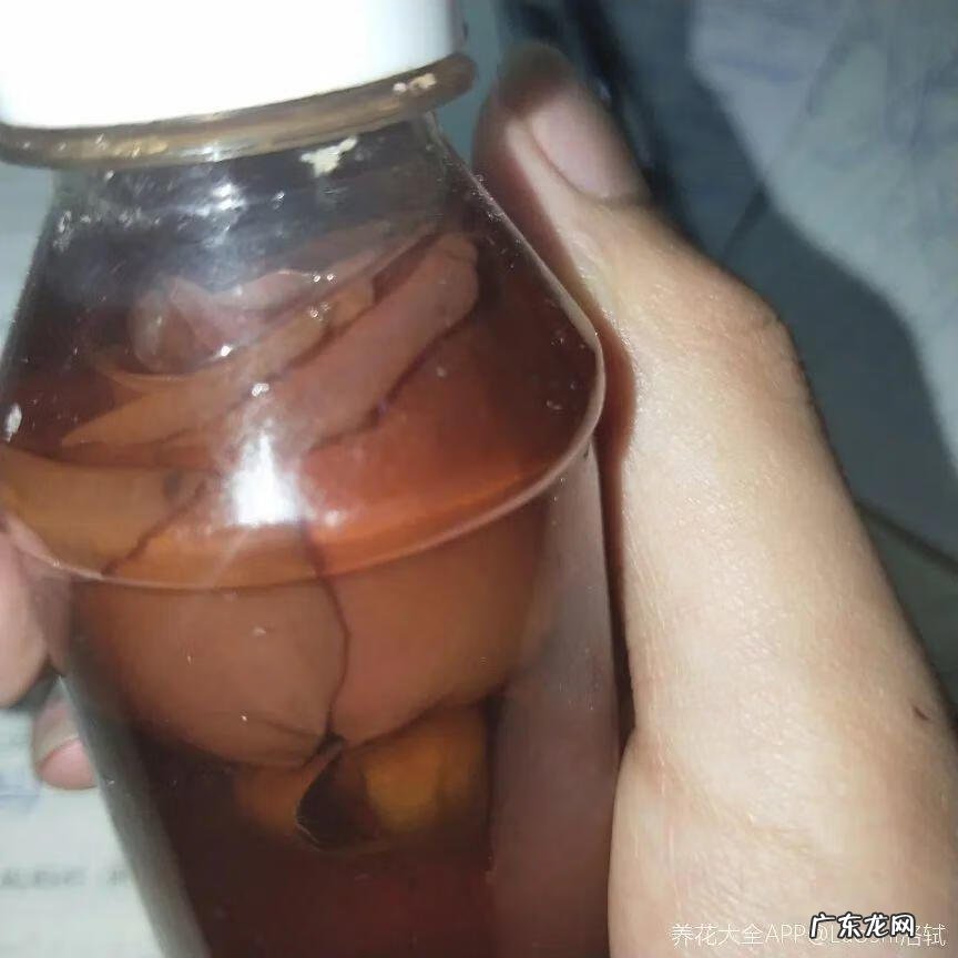 做干花的步骤与方法 新鲜的花怎么做干花