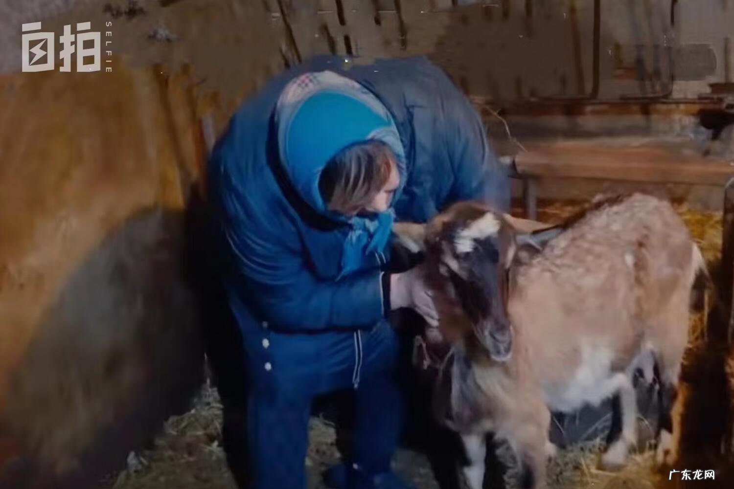 好车无忧官网 好车无忧二手车事车