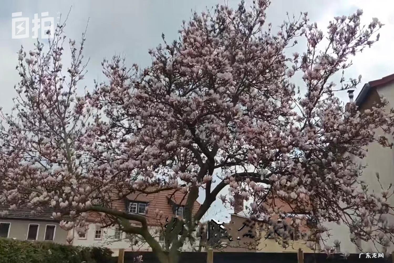 好车无忧官网 好车无忧二手车事车