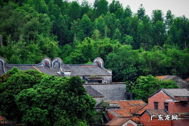 广东省三水区是哪个地区 小知识：三水区是哪个省哪个市的
