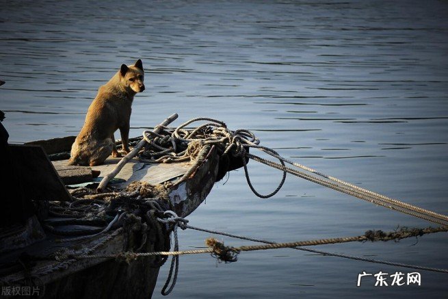 广东省三水区是哪个地区 小知识:三水区是哪个省哪个市的