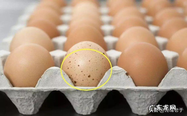 小知识:鸡蛋壳上有黑色斑点能吃吗 蛋壳上有斑是正常的吗
