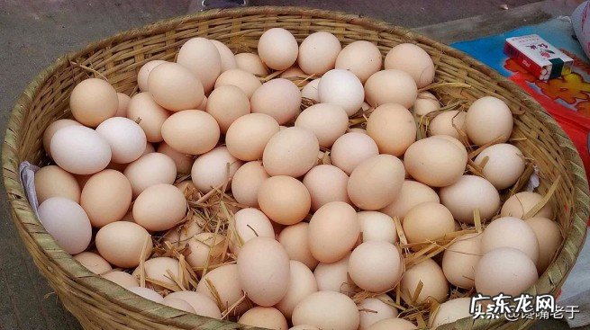 小知识:鸡蛋壳上有黑色斑点能吃吗 蛋壳上有斑是正常的吗