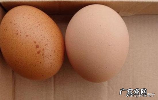 小知识:鸡蛋壳上有黑色斑点能吃吗 蛋壳上有斑是正常的吗