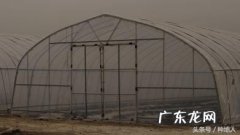 简易钢架蔬菜大棚造价清单 农村蔬菜大棚造价每亩多少钱