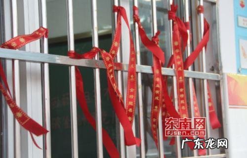 浙江省教育考试查询网站