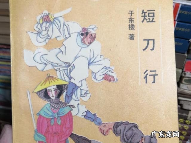 刀歌之短刀行几个老婆 刀歌之短刀行小说