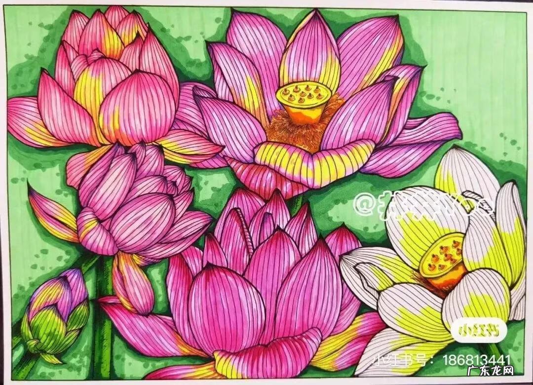 中秋节相关的图画 关于中秋节的图画大全