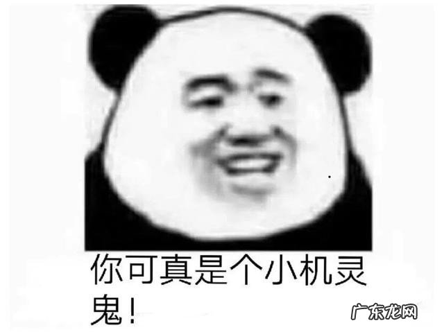 第十代雅阁试驾新款怎么样 本田雅阁hybrid是什么车