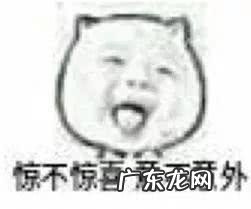 第十代雅阁试驾新款怎么样 本田雅阁hybrid是什么车