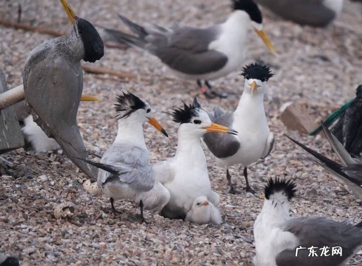 2013浙江理科状元周晨 2013浙江理科状元