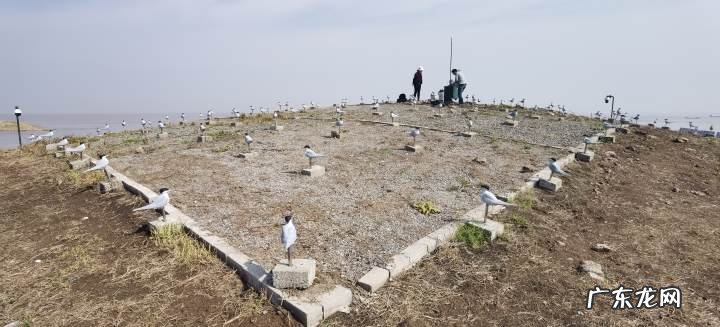 2013浙江理科状元周晨 2013浙江理科状元