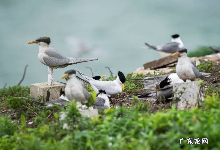 2013浙江理科状元周晨 2013浙江理科状元