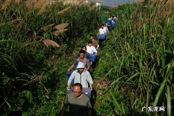 2013浙江理科状元周晨 2013浙江理科状元