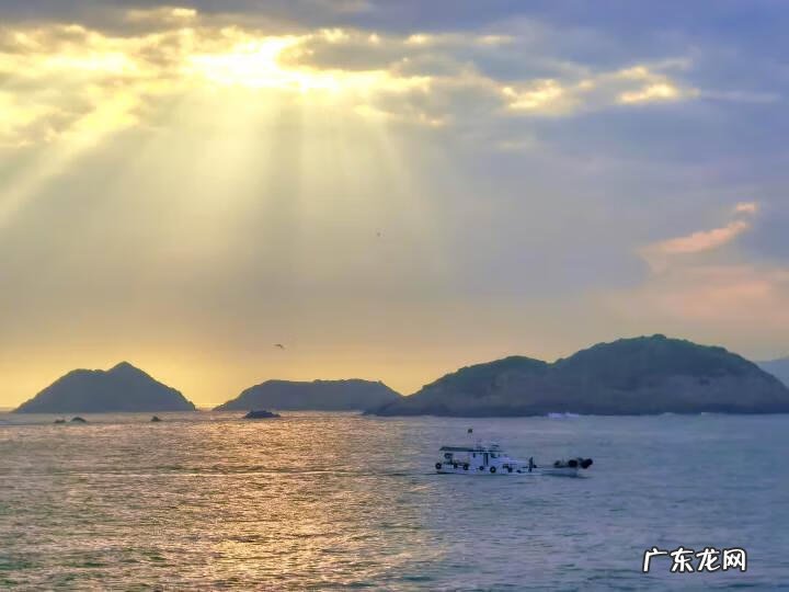 2013浙江理科状元周晨 2013浙江理科状元