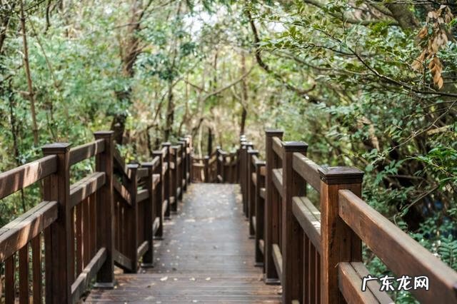 济州岛怎么样 济州岛风水怎么样了