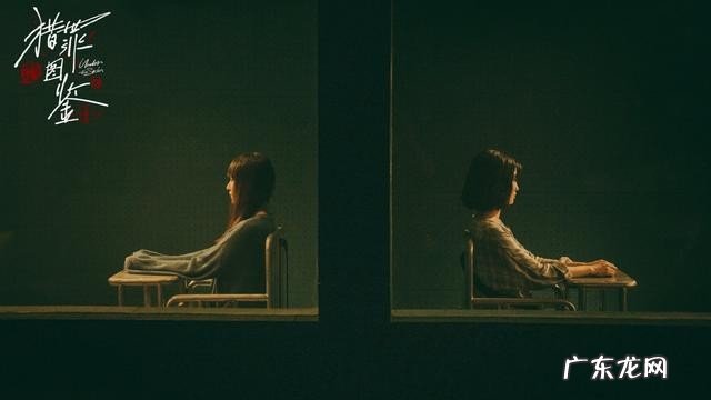 网剧排行榜2022最新电视剧推荐 2022年最好的10部网剧排名