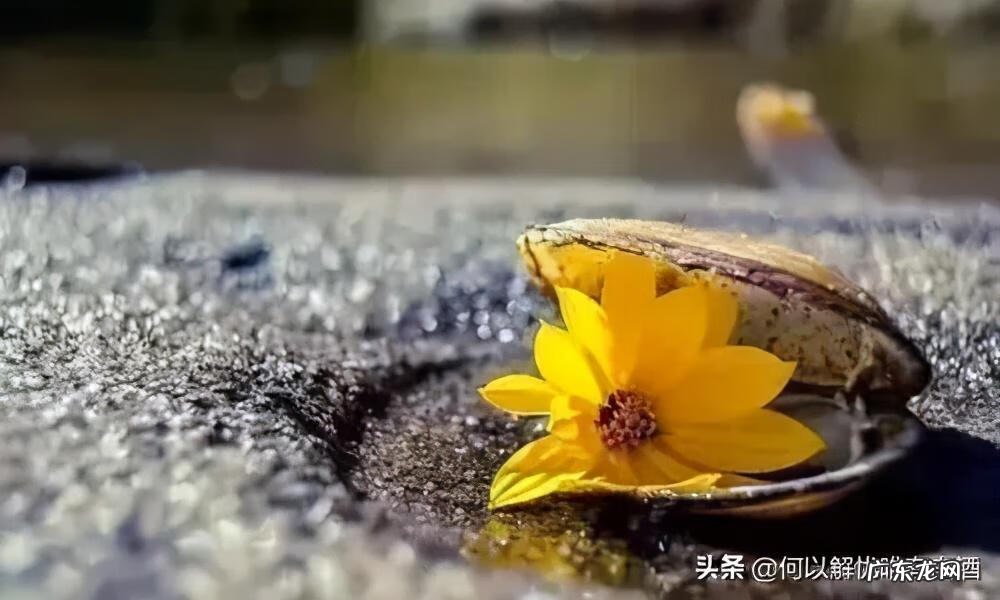 敬颂冬绥是什么意思怎么读 敬颂冬绥什么意思?