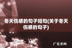 关于冬天伤感的句子 冬天伤感的句子短句