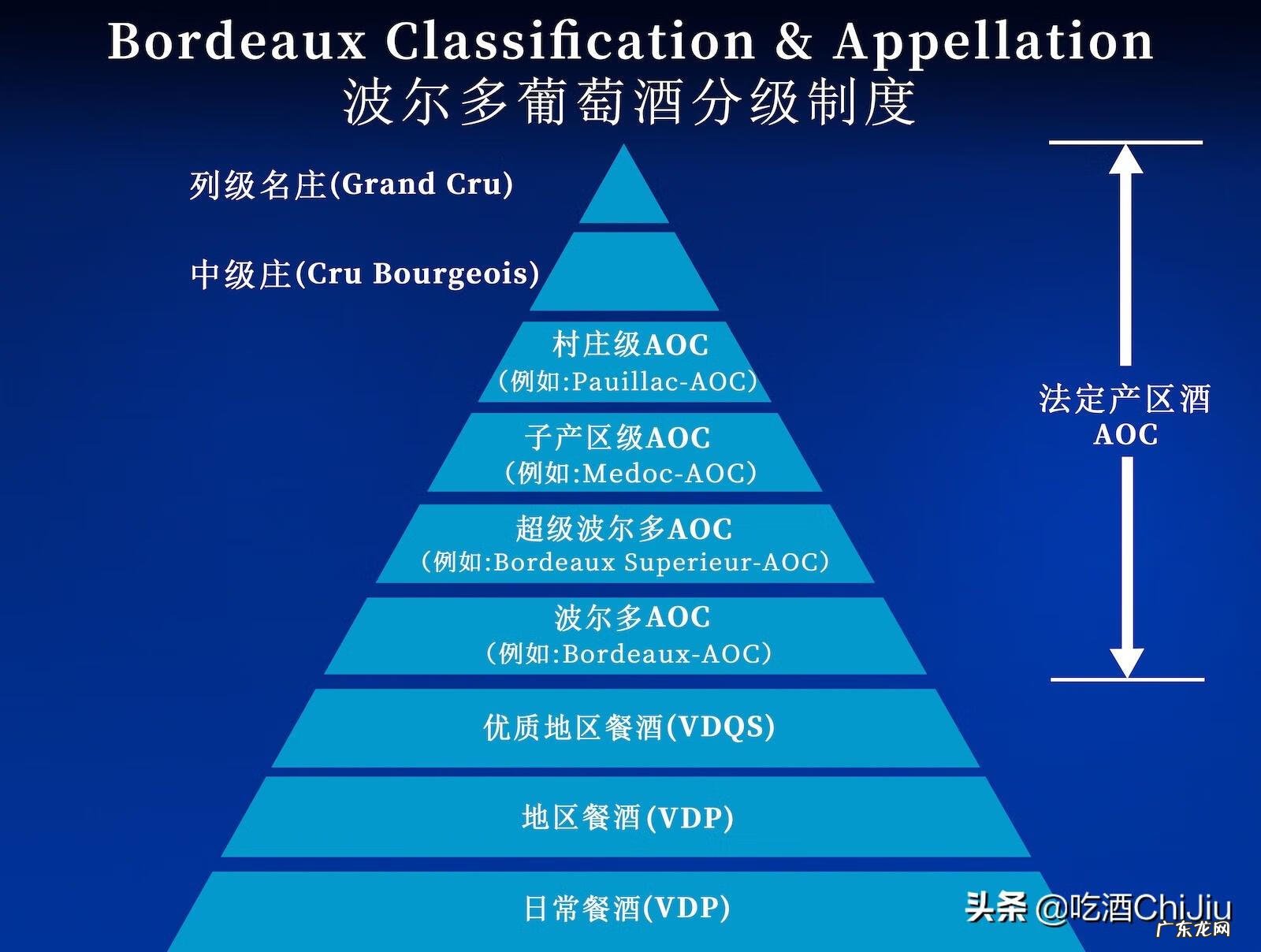 波尔多干红葡萄酒2019 波尔多干红