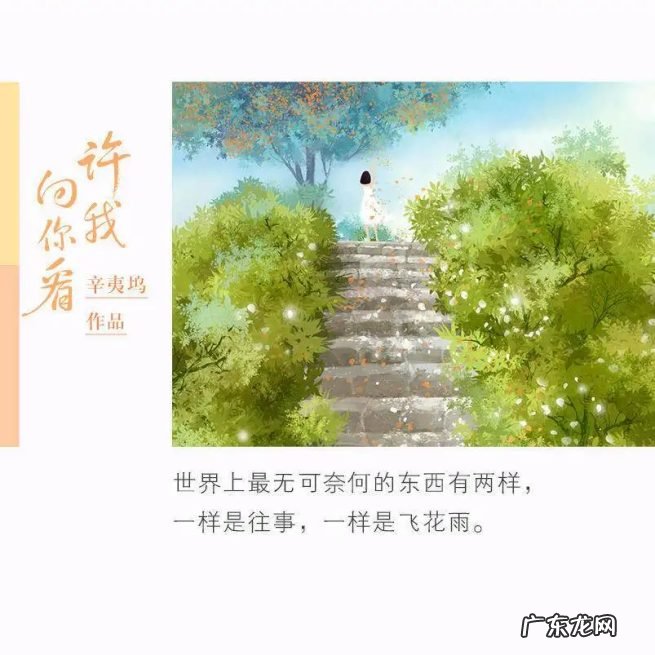 辛夷坞的青春爱情小说大全 辛夷坞的全部小说有哪些