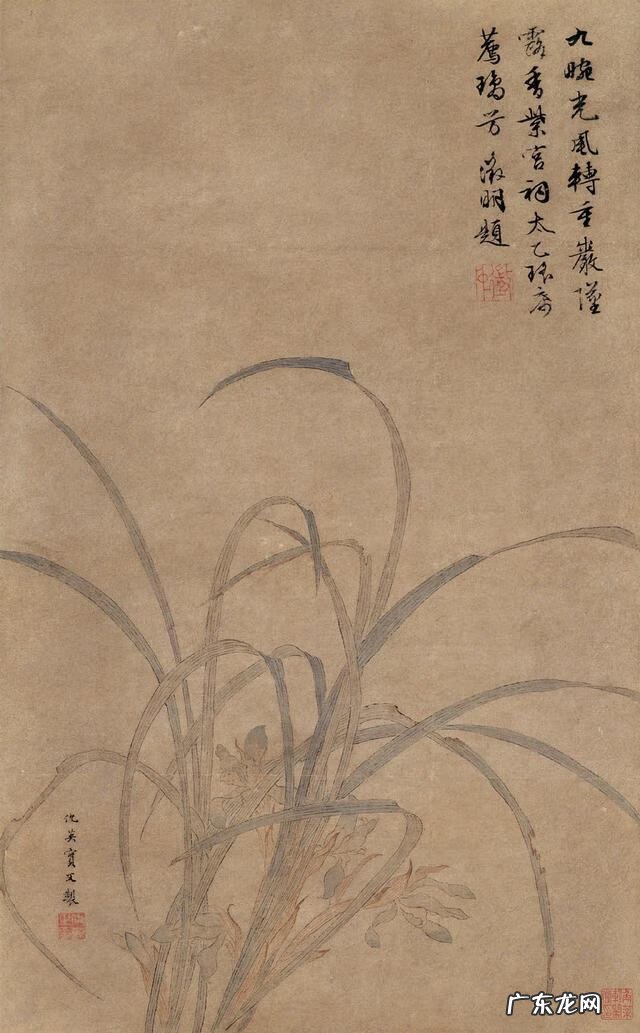 古人画兰花图片 兰花古画图片
