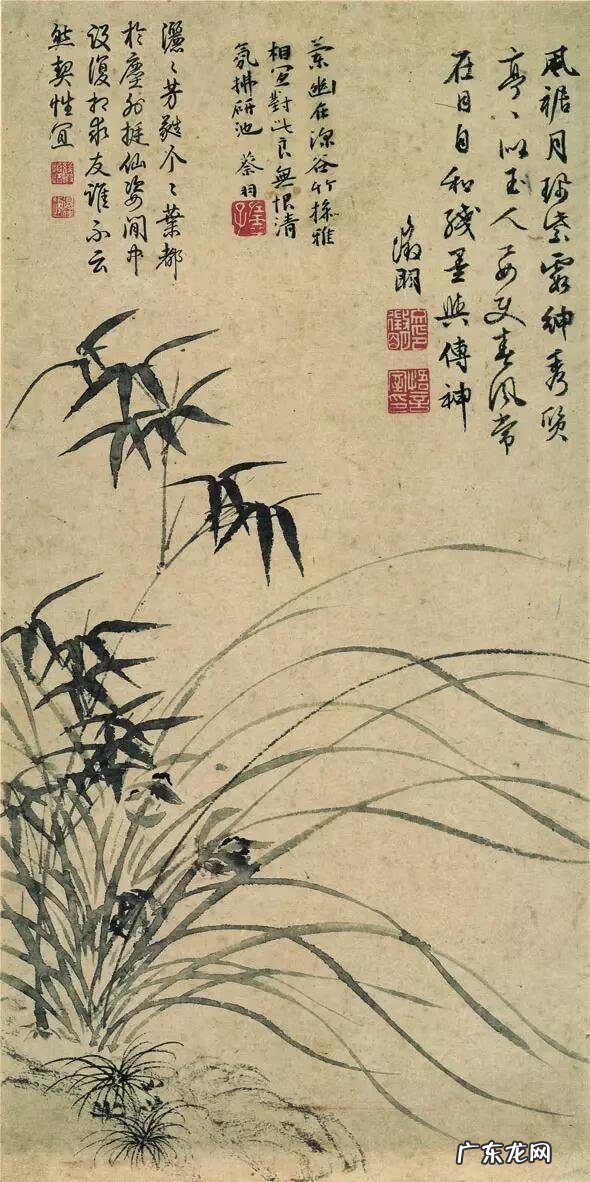 古人画兰花图片 兰花古画图片