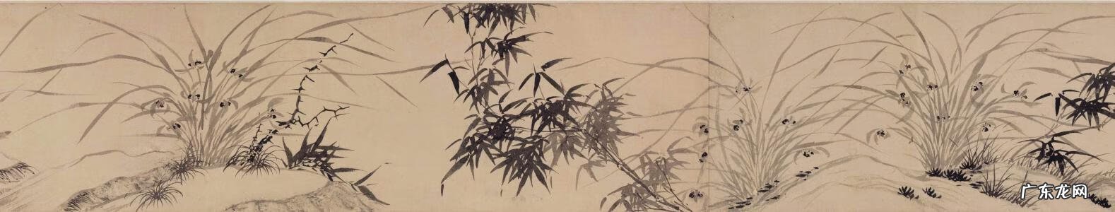 古人画兰花图片 兰花古画图片