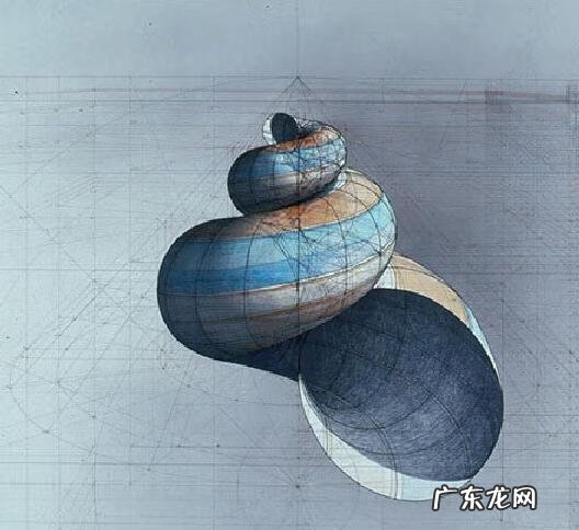 海螺摆放风水图片 海螺的风水