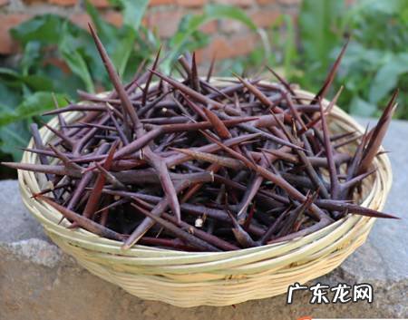 简单实用的自制中药贴膜,在家轻松祛痘