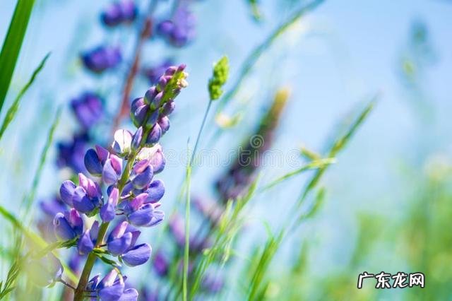 晚上洗衣服好不好风水 早上起床洗衣服好吗