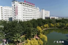 厦门东海职业技术学院专业 东海学院在哪里