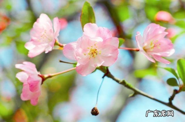 最新12星座学霸排名一览 十二星座的学习能力排行榜