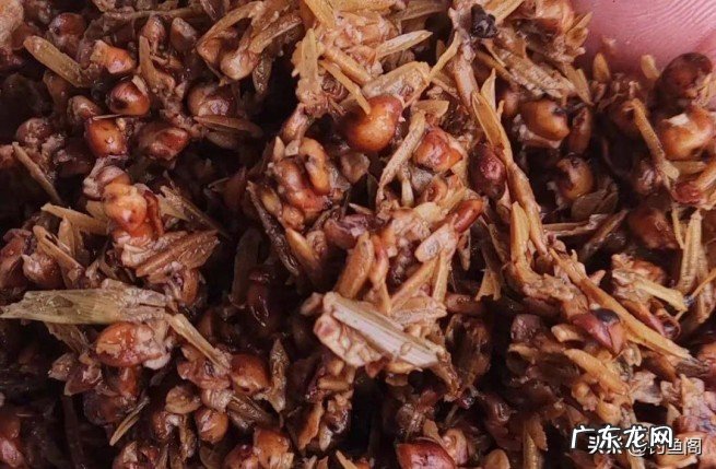 效果不比商品饵差的4种野钓窝料 野钓排名第一的窝料是什么