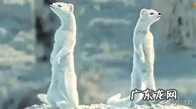 怎么选坟墓的风水宝地 山洞坟墓风水宝地