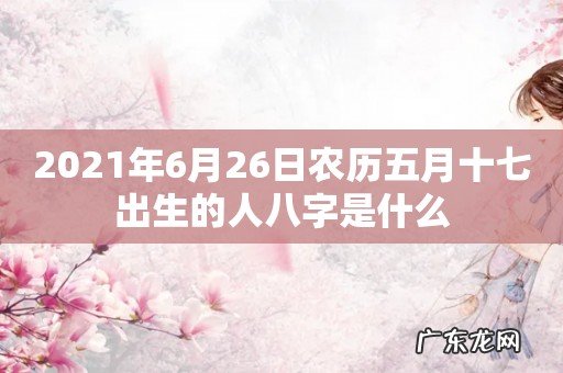 2021年6月26日农历五月十七出生的人八字是什么