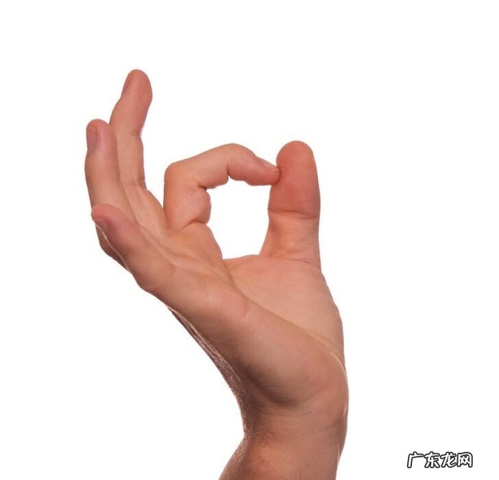 北极熊皮肤的特点 北极熊的皮肤是什么颜色的?