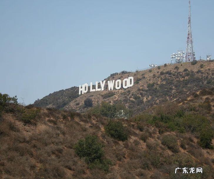 北极熊皮肤的特点 北极熊的皮肤是什么颜色的?