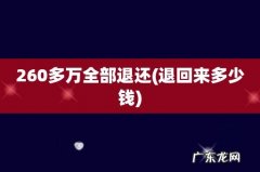 退回来多少钱 260多万全部退还
