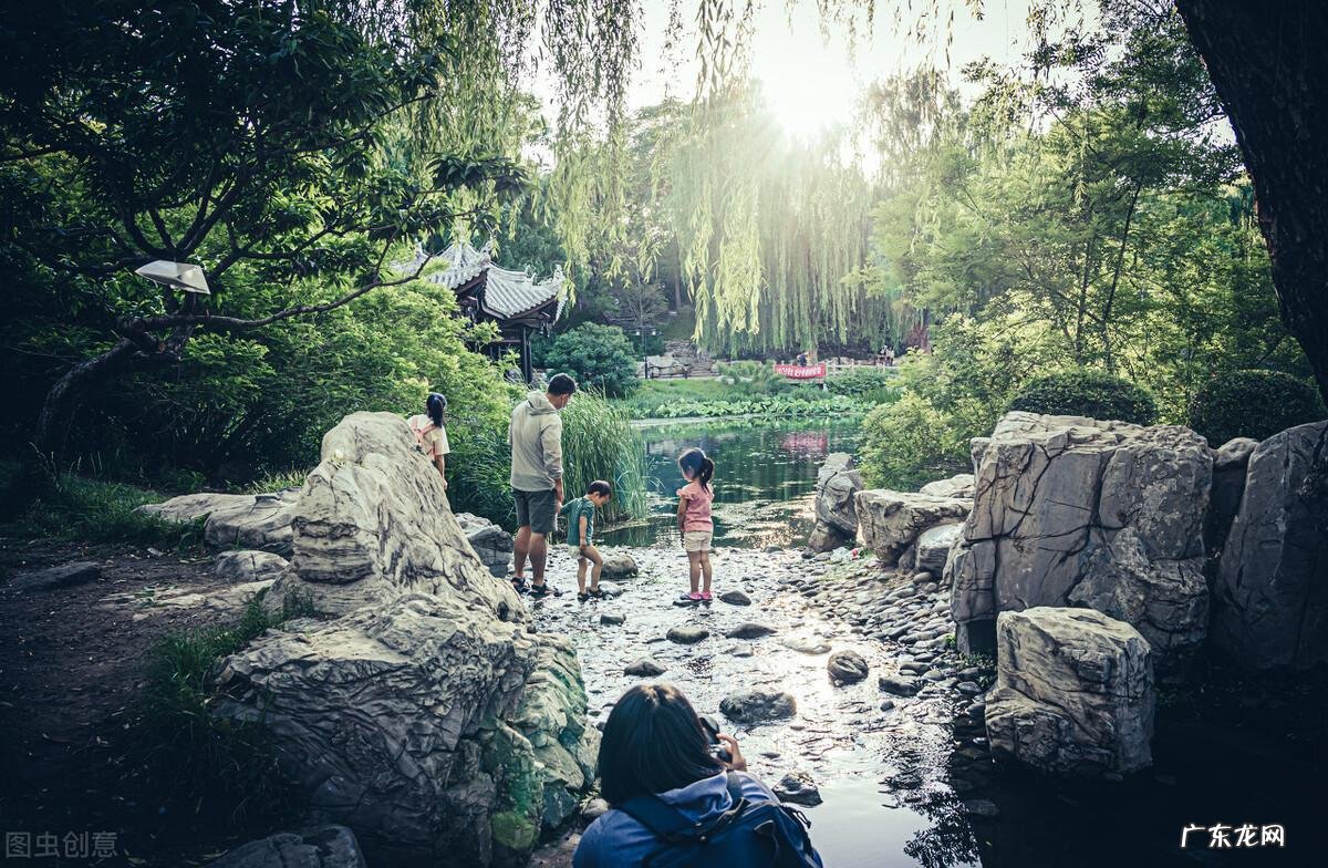 黄颜色的花朵 由于荇菜的花朵是黄色的吗
