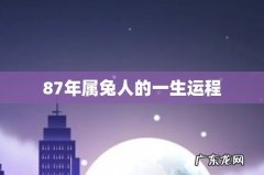 87年属兔人的一生运程