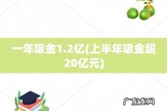 上半年吸金超20亿元 一年吸金1.2亿