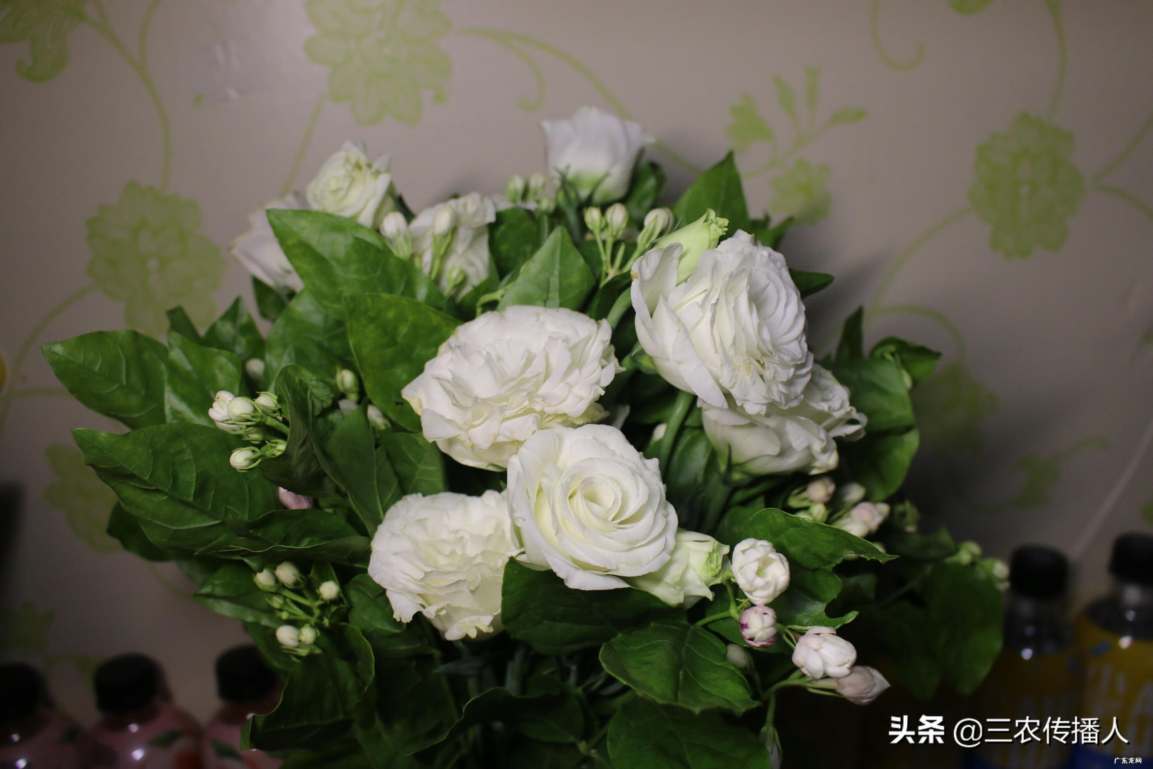 中国农业大学西校区专业 北京农业大学西校区地址